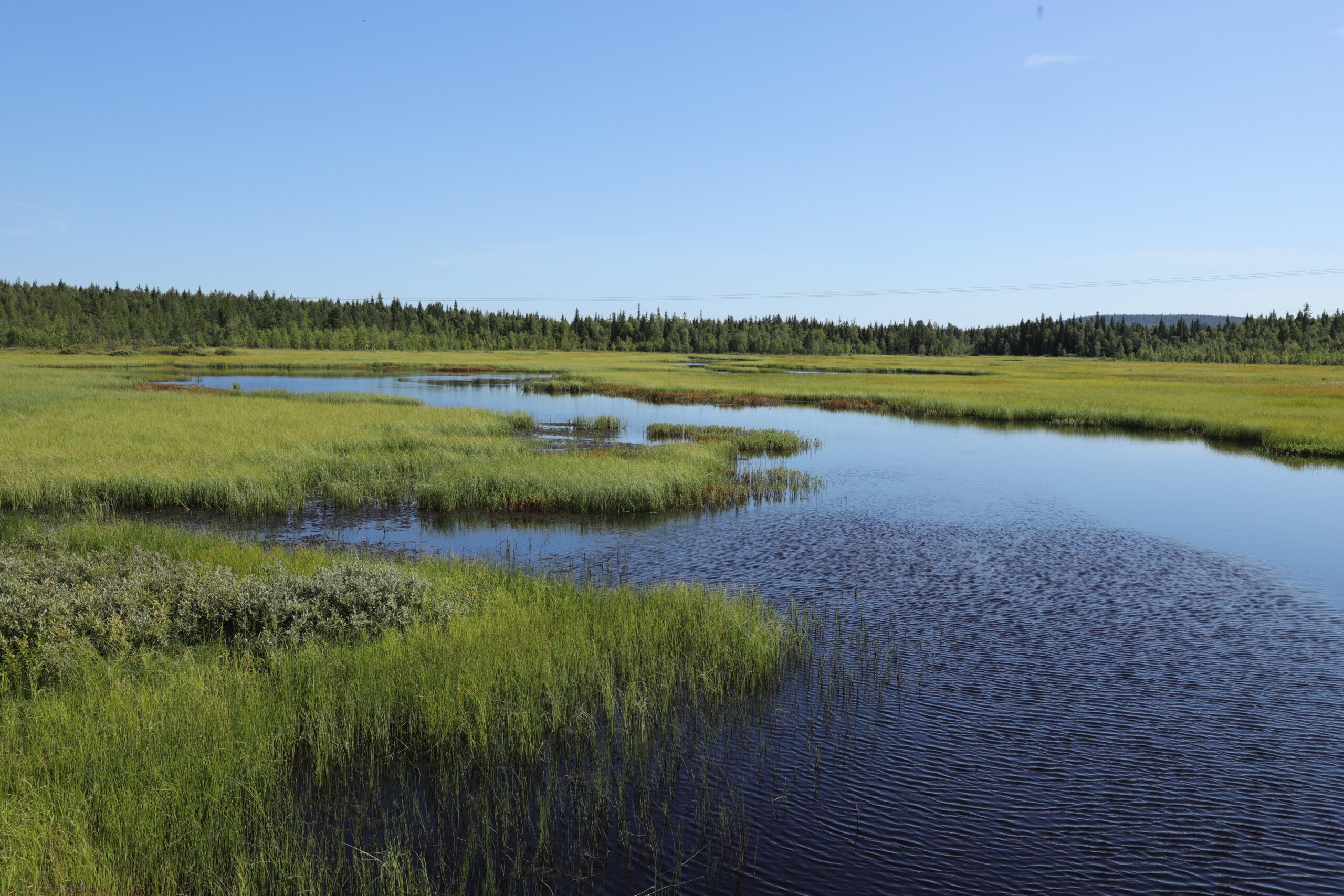 Inari Finnland 2024 ©hreitz